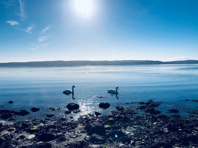 養(yǎng)殖廢水如何處理-污水處理設備-青島樂中環(huán)?？萍加邢薰? /> 
	</p>
<p style=