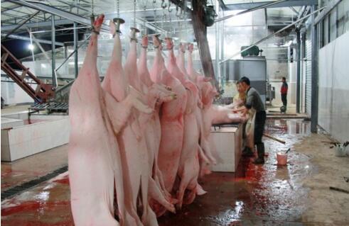 屠宰廢水處理方法有哪些？屠宰廢水處理設(shè)備價(jià)格？-01