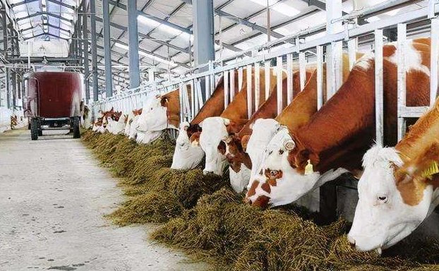 養(yǎng)殖污水處理設(shè)備的如何調(diào)試才能保障正常運(yùn)行？02