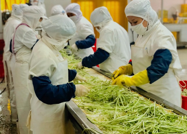 三種食品污水處理設(shè)備工藝流程，看看哪種適合您？