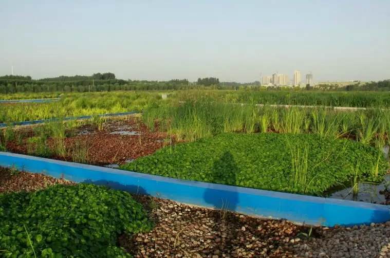 人工濕地污水處理技術(shù)導(dǎo)則是什么(人工濕地污水處理工藝) 人工濕地污水處理技術(shù)導(dǎo)則是什么(人工濕地污水處理工藝)