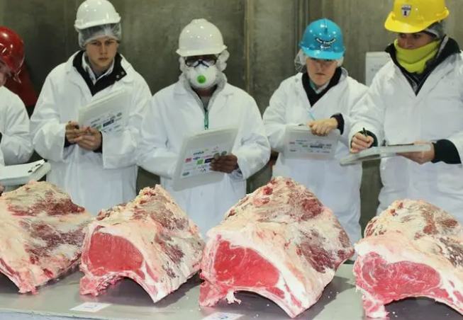 屠宰污水處理設(shè)備名詞解釋(附原理及用途) 屠宰污水處理設(shè)備名詞解釋(附原理及用途)