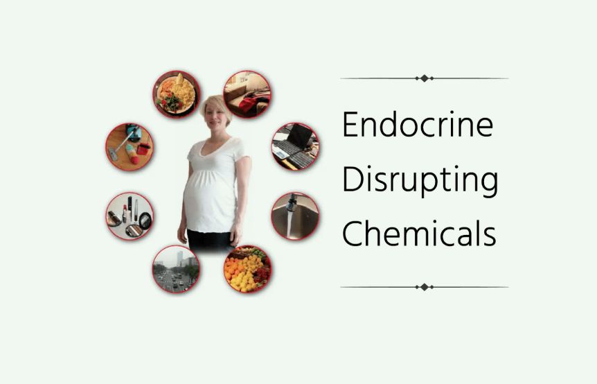 常見的內(nèi)分泌干擾物有哪些(內(nèi)分泌干擾物的危害有) 常見的內(nèi)分泌干擾物有哪些(內(nèi)分泌干擾物的危害有)