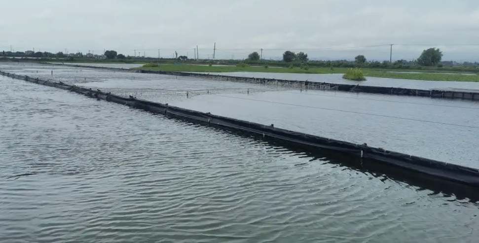 水產(chǎn)養(yǎng)殖尾水處理原理及方法講解(尾水處理設備用途) 水產(chǎn)養(yǎng)殖尾水處理原理及方法講解(尾水處理設備用途)