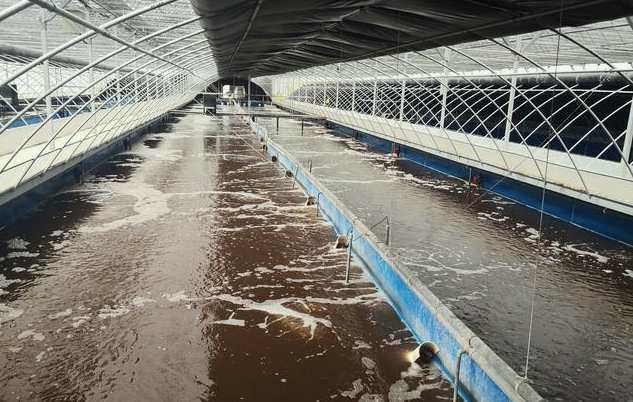 畜禽污水處理的方法、步驟（主流畜禽污水處理工藝有哪些）