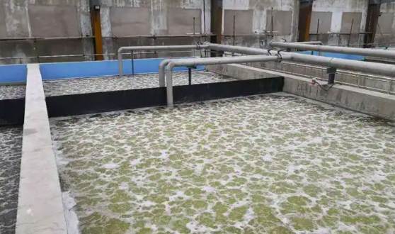 曝氣生物濾池工作過(guò)程(曝氣生物濾池原理及用途) 曝氣生物濾池工作過(guò)程(曝氣生物濾池原理及用途)